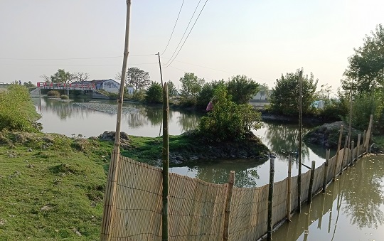 image-here